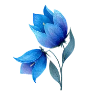 お花1